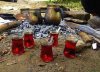 çay.jpg