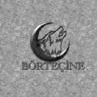 bortecinefb